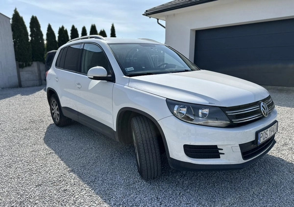 Volkswagen Tiguan cena 39900 przebieg: 232000, rok produkcji 2013 z Jędrzejów małe 56